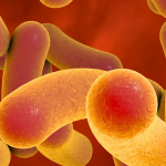 Sepsis