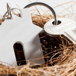 House key and key fob in a bird's nest