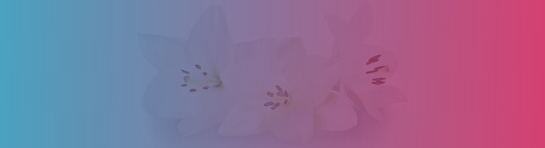 Lilies