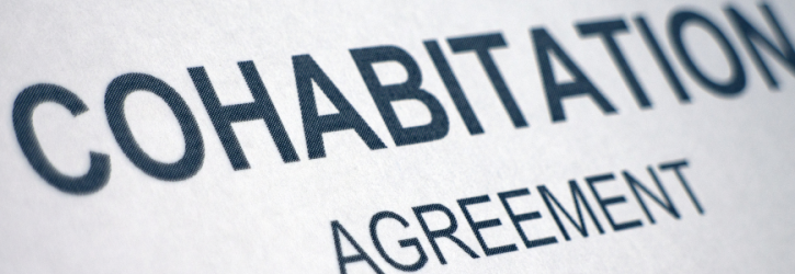 Cohabitation Agreement