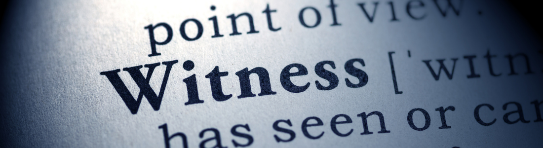 Dictionary definition of witness