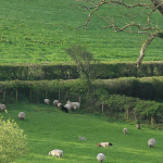 Field subject to profits a prendre
