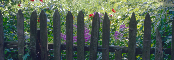 Old wooden fence