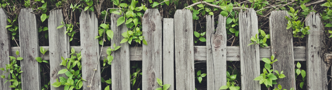 Old wooden fence in garden