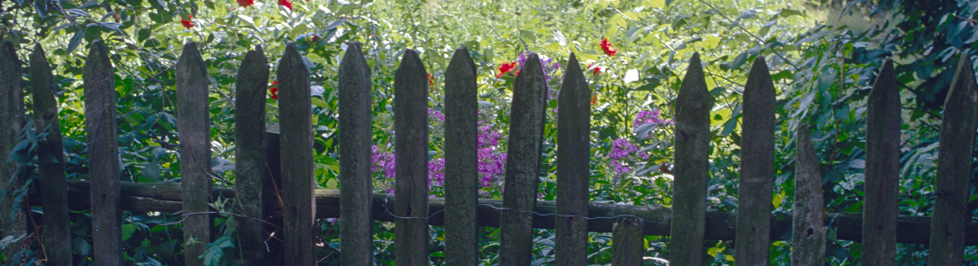 Old wooden fence