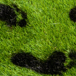 Black well defined footprints on grass