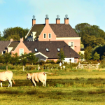 A dairy farm illustrating enforcing a verbal promise over property ownership