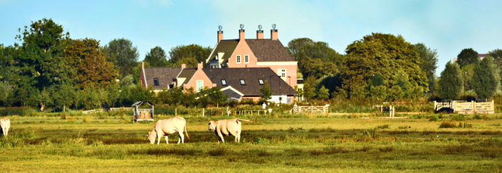 A dairy farm illustrating enforcing a verbal promise over property ownership
