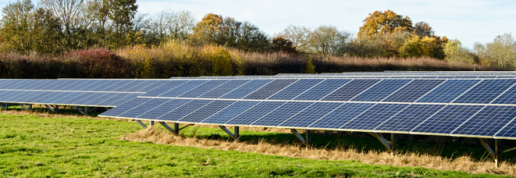 An overplanted solar farm