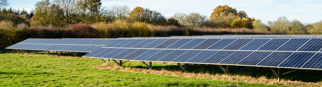 An overplanted solar farm