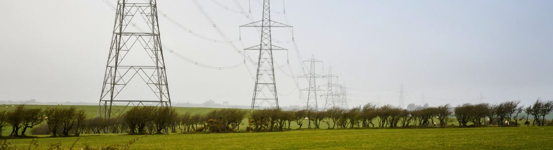 Electricity pylons subject to wayleave agreements