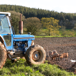 Farm subject to succession rules for AHA tenancies