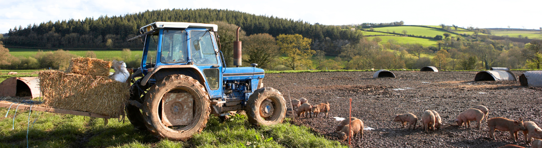 Farm subject to succession rules for AHA tenancies