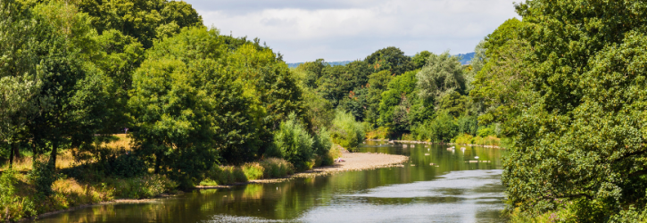 A river affected by nitrate vulnerable zones