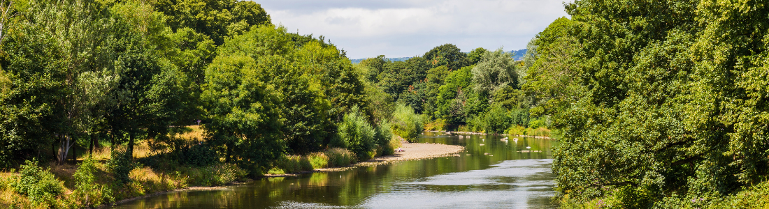 A river affected by nitrate vulnerable zones