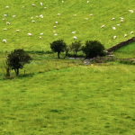 Farmland subject to promotion agreements