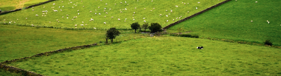 Farmland subject to promotion agreements