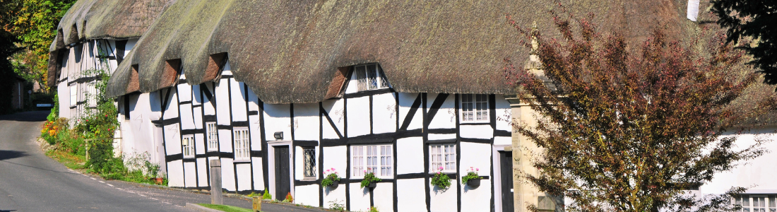 Thatched older property